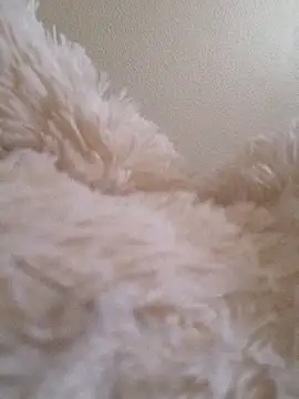 Bruninhadeusa online show from December 19, 10:33 am