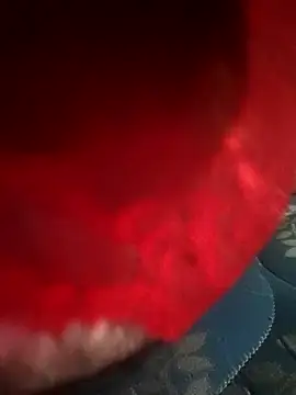 Morbosnif online show from November 8, 1:28 am