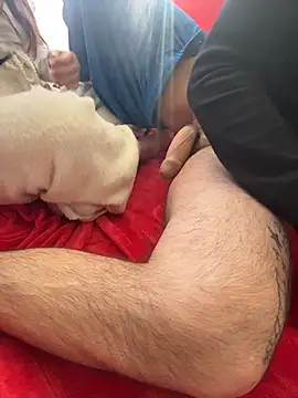 PassionCoupleLove online show from February 15, 2:14 pm