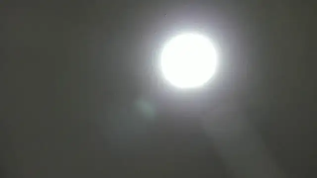  Asshley bensoon  online show from November 5, 2:39 pm