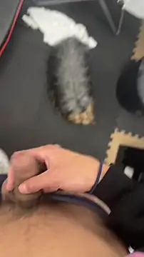 Snapshot of findomhot chatting on November 5, 9:04 pm findomhot online show from November 5, 9:04 pm