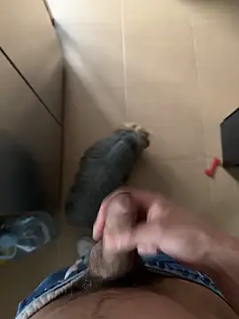 Snapshot of findomhot chatting on February 4, 3:51 pm findomhot online show from February 4, 3:51 pm