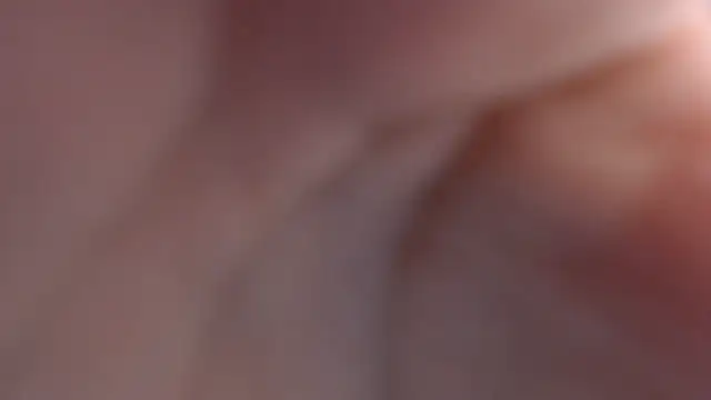 velvetvixen t online show from January 16, 1:04 pm