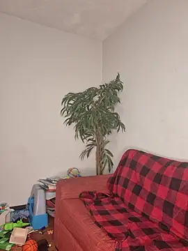 Snapshot of SweetieP11 chatting on November 3, 5:03 pm SweetieP11 online show from November 3, 5:03 pm