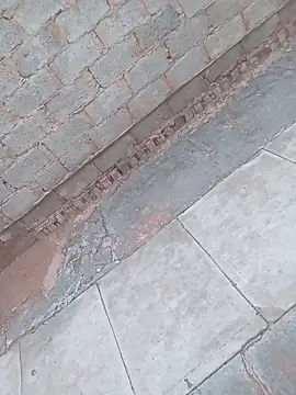 younggblackkCOCK19 online show from November 3, 3:24 pm