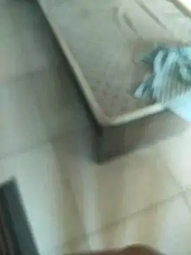 Telugus online show from November 7, 7:08 am