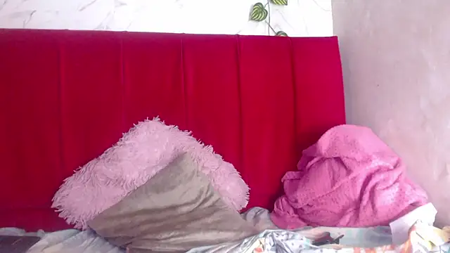 amandacanelacm online show from February 1, 12:48 pm