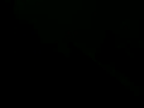 Snapshot of giovanift111 chatting on October 29, 11:17 pm giovanift111 online show from October 29, 11:17 pm