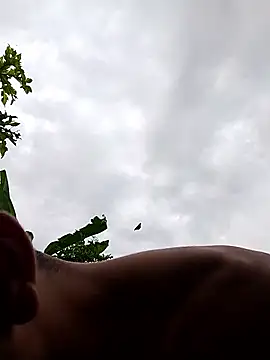 Alex Sweeting online show from January 12, 8:47 pm