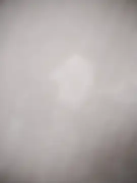 Snapshot of Yordiparra chatting on March 30, 11:44 am Yordiparra online show from March 30, 11:44 am