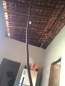 Ralf2011 online show from December 4, 5:54 pm