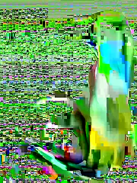 Snapshot of cchairez1188 chatting on October 29, 9:38 pm cchairez1188 online show from October 29, 9:38 pm