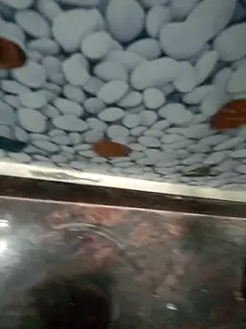 Snapshot of Pandey0012 chatting on March 12, 11:49 am Pandey0012 online show from March 12, 11:49 am