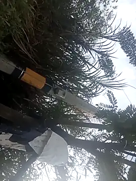 Camila-Valverde online show from January 31, 8:51 pm