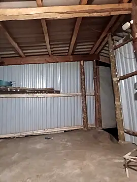 matbiec- online show from December 19, 11:50 am