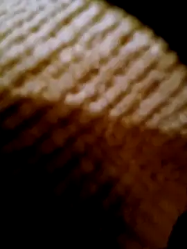 Snapshot of pino870 chatting on February 17, 4:24 pm pino870 online show from February 17, 4:24 pm