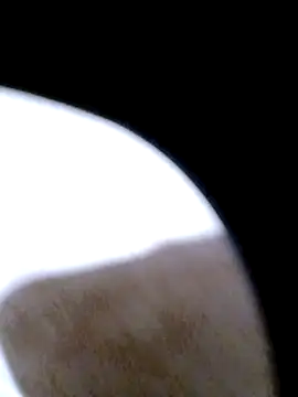 Snapshot of pino870 chatting on February 20, 12:29 am pino870 online show from February 20, 12:29 am