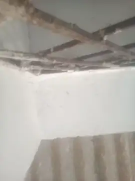 Pallu Asha online show from April 28, 12:53 am