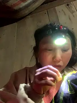 bi-bo123 online show from January 14, 2:33 pm