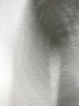 Snapshot of recx_lamdron28 chatting on October 31, 8:21 pm recx lamdron28 online show from October 31, 8:21 pm