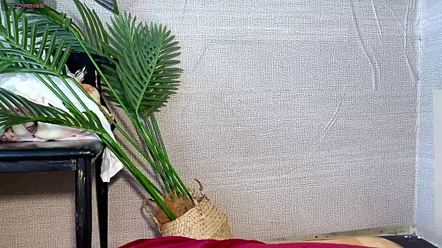 0xiaosu0 online show from December 20, 3:24 am