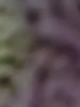 Hot-Sana2 online show from January 13, 1:49 pm