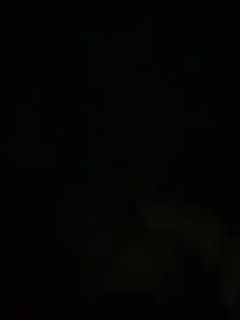 Snapshot of Manfredini607452 chatting on November 18, 12:49 am Manfredini607452 online show from November 18, 12:49 am