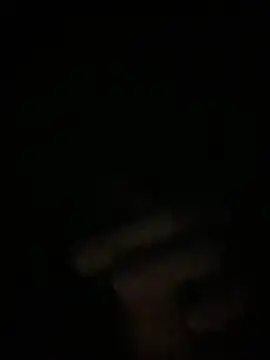 Snapshot of Manfredini607452 chatting on November 26, 12:44 am Manfredini607452 online show from November 26, 12:44 am