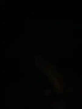 Snapshot of Manfredini607452 chatting on February 4, 1:11 am Manfredini607452 online show from February 4, 1:11 am