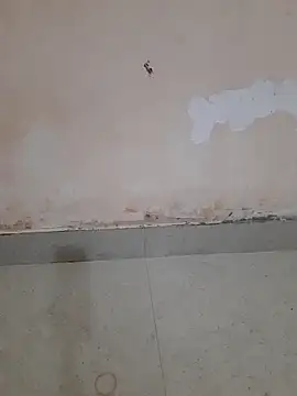 Madhubala singh online show from March 18, 2:37 am