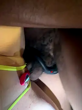 secretknight Mrmask online show from November 22, 7:18 am