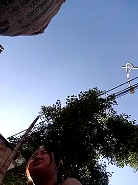 Bee-bgolden online show from November 26, 7:31 am