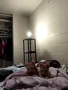 SITHANDRAH online show from December 2, 11:45 pm