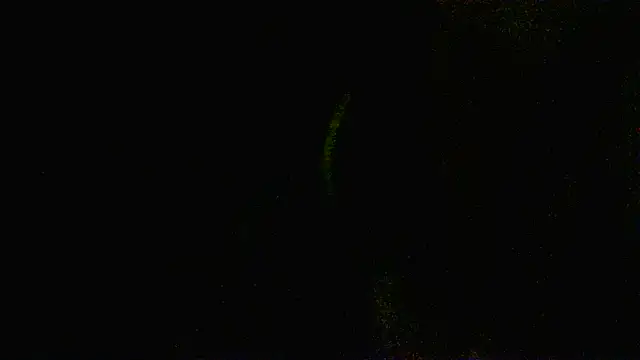 Zulreyna online show from May 6, 4:52 am