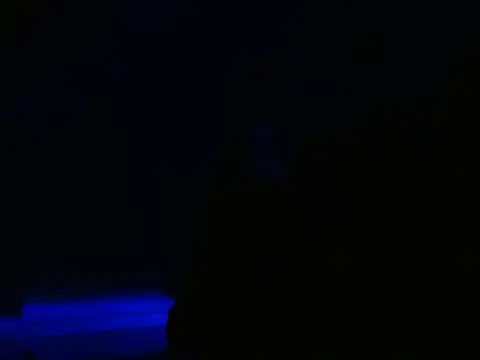 Snapshot of Dangerhook chatting on November 20, 12:44 am Dangerhook online show from November 20, 12:44 am