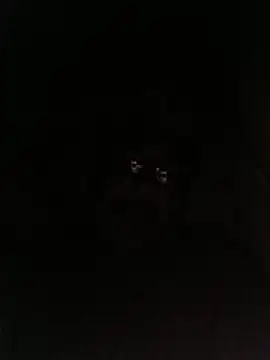 bruno 324278 online show from May 28, 2:53 am
