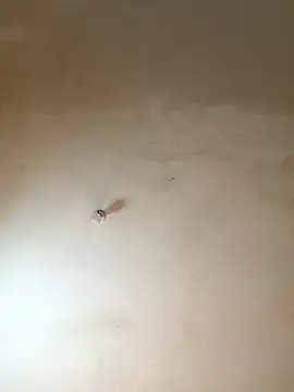 NiaLong21  online show from January 17, 9:58 am