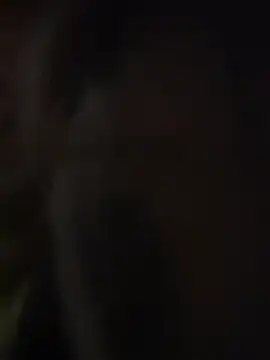 Hollywouldd online show from December 4, 6:01 am