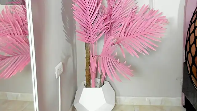 Tamaramilleer online show from February 2, 3:49 am