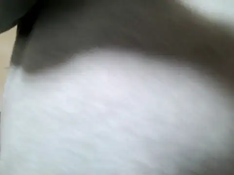 Snapshot of Olifesse chatting on May 16, 8:22 am Olifesse online show from May 16, 8:22 am