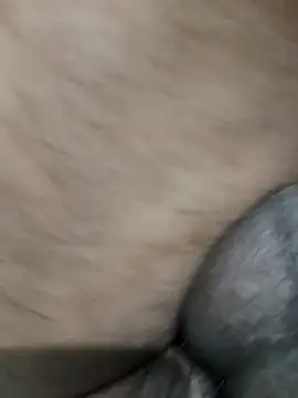 Snapshot of LEOMEGHA2026 chatting on November 19, 4:51 pm LEOMEGHA2026 online show from November 19, 4:51 pm