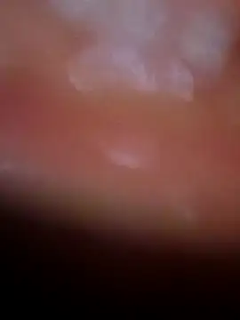 Nisha Hindi online show from November 25, 7:08 am