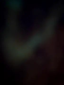 Pagalladka-89 online show from December 21, 10:33 am