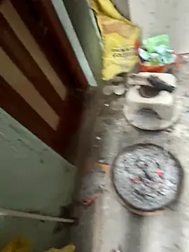 Pagalladka-89 online show from December 23, 5:38 am