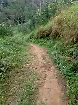 Cloud-wh online show from March 5, 12:39 am