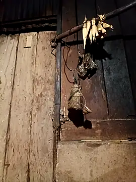 -Chua-90 online show from April 3, 9:13 pm