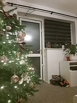 Snapshot of Adam11699 chatting on December 20, 2:29 am Adam11699 online show from December 20, 2:29 am