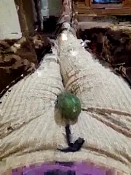 Tota sexi online show from November 27, 10:45 pm