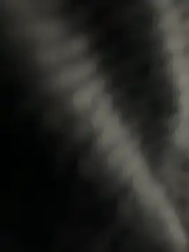 Snapshot of kangro_80 chatting on December 1, 11:26 am kangro 80 online show from December 1, 11:26 am