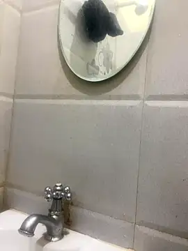 calibrow online show from January 14, 9:37 am